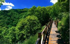五岳寨国家森林公园旅游攻略
