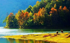 滦河上游国家级自然保护区