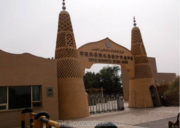 中科院吐鲁番沙漠植物园旅游攻略