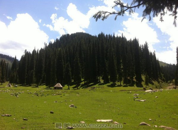 新疆科桑溶洞国家森林公园旅游攻略