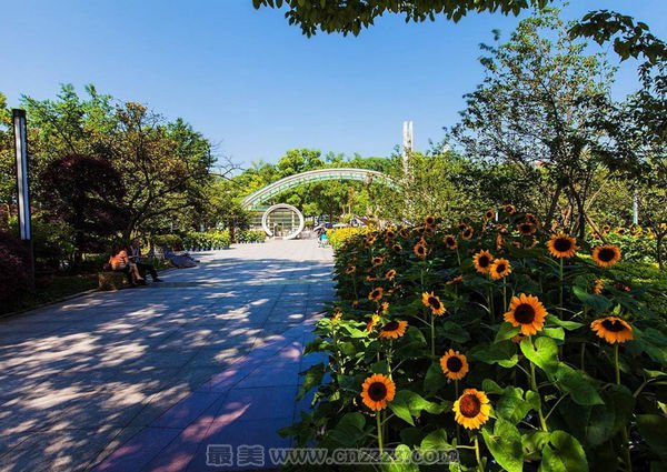 重庆市南山植物园