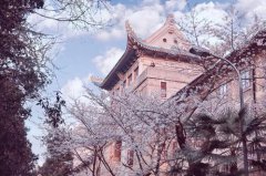 去武汉大学看樱花怎么预约？