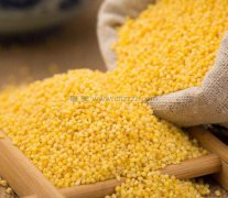 陕西省榆林市米脂县的米脂小米真的好吃吗？