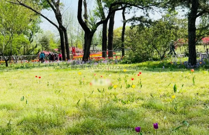 北京国家植物园门票怎么买？国家植物园几点对外开放？