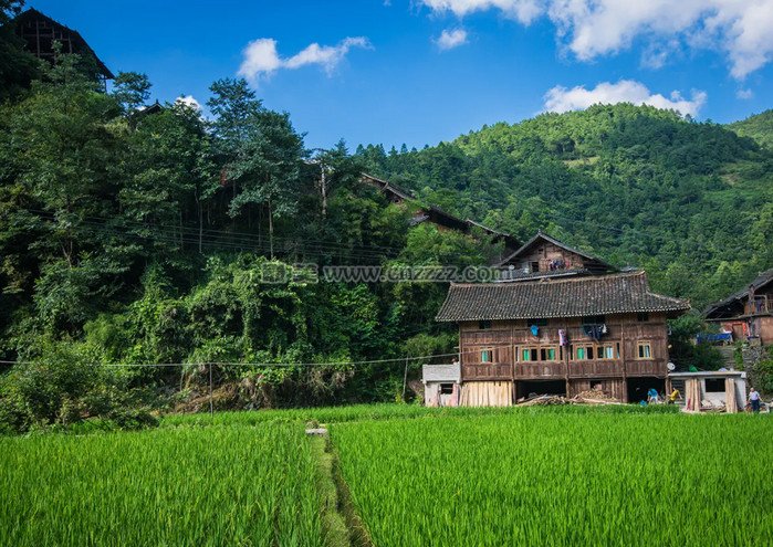 贵州省雷公山国家级自然保护区简介和旅游攻略