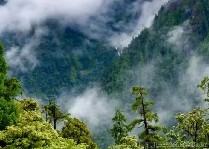 云南省高黎贡山国家级自然保护区简介和旅游攻略